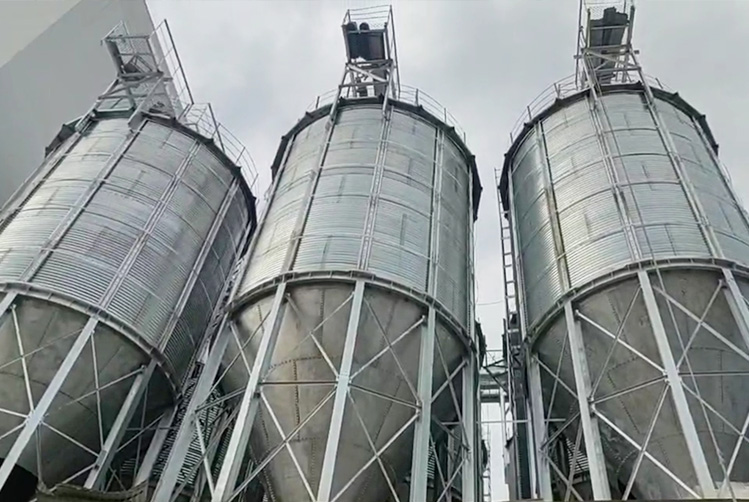 Assembled Steel Silos